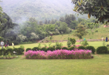 My Hypnotic And Magical Encounter With West Bengal