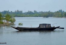 ~Wildlife~ “Sundarbans Trip”