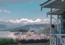 A Travel Story: An Ode to Bengal