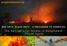 Red Ants, Black Ants – a Precursor to Genocide